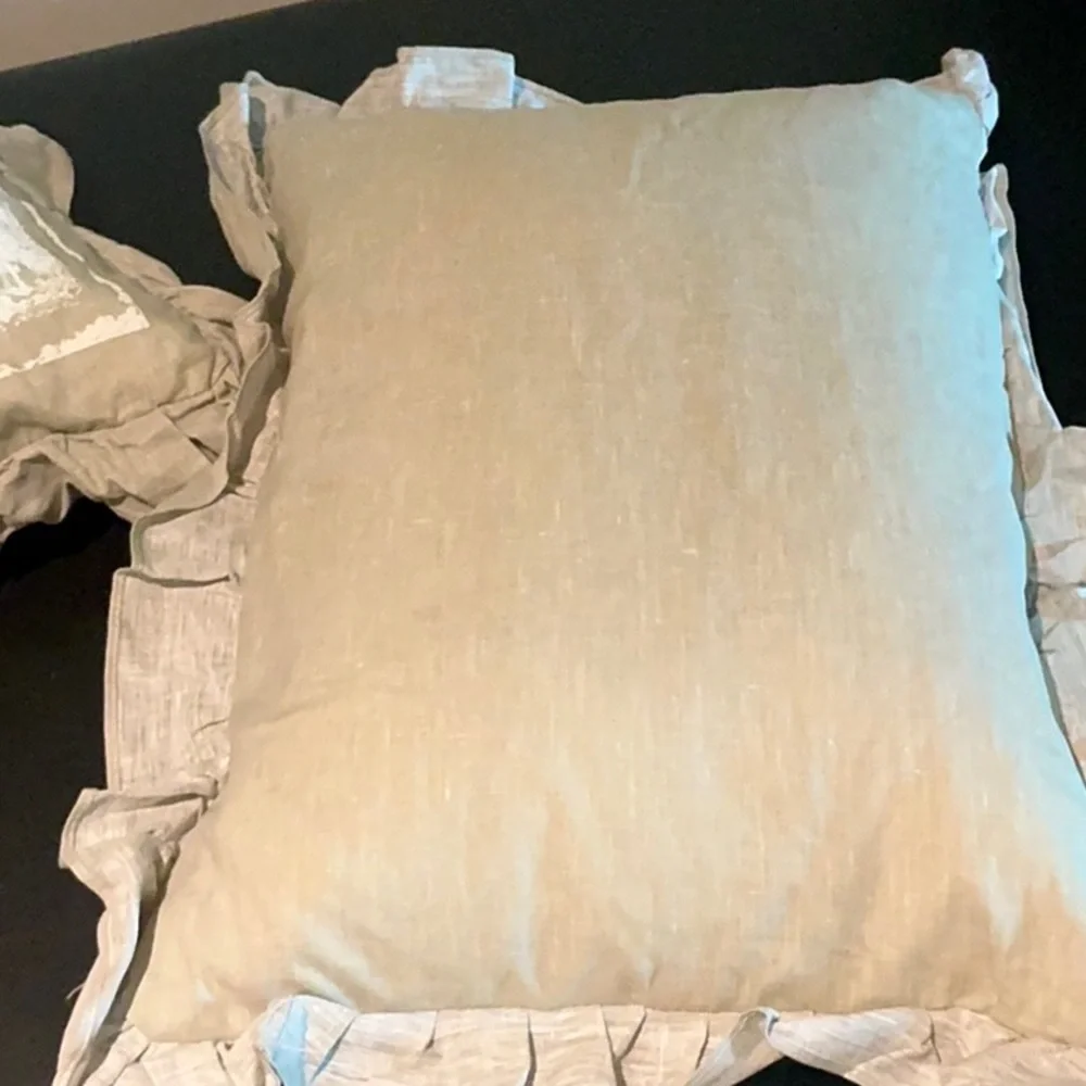 NWOT. Set of 2 Butterfly Print Decorative Pillows.